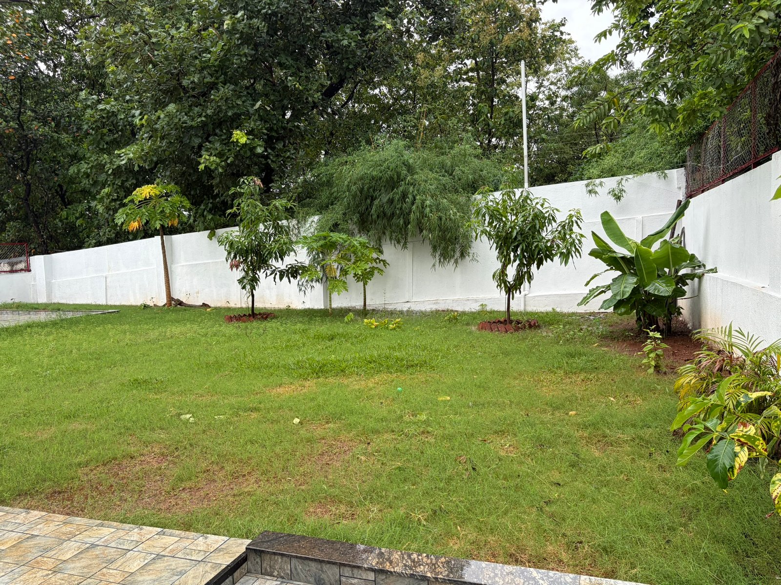 Nandan Villa Karjat, lawn and young fruit trees