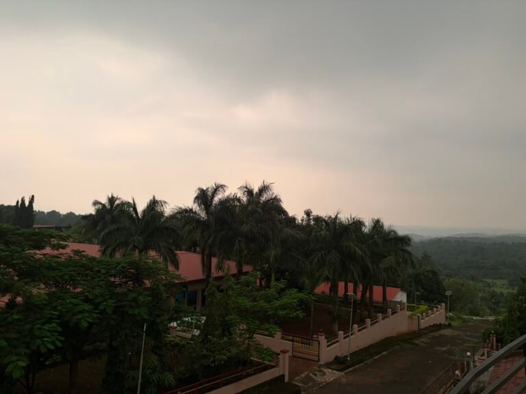 Nandan Villa, Karjat: Valley and palms from the balcony